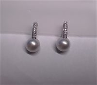 Ohrringe Soprana Dame PERLE in Gold Perla OMKPAVE' AUSTR 10.75